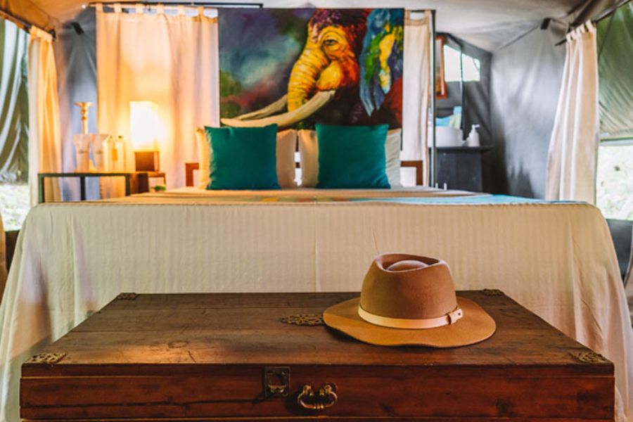 Wildlife Accommodation at Wilpattu National Park 