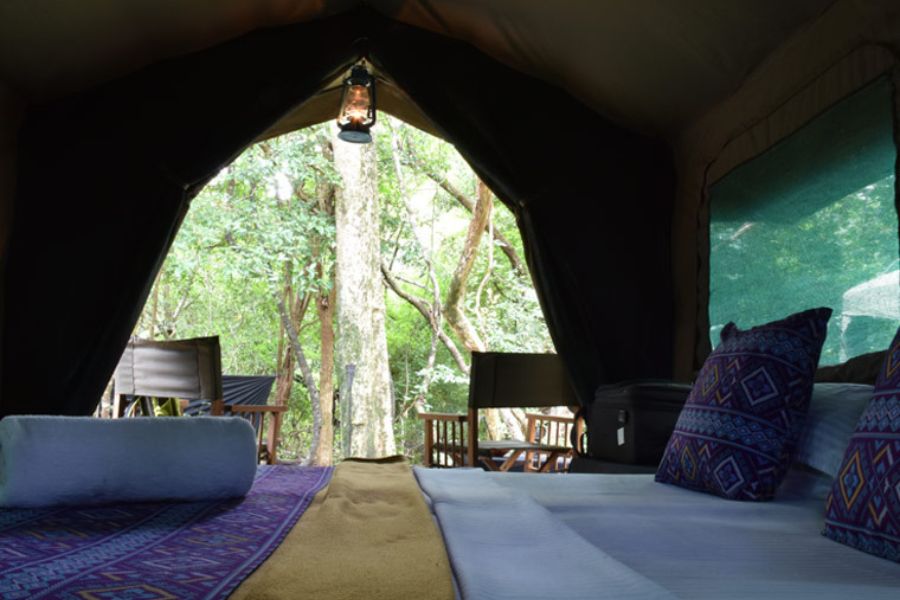 Wildlife Accommodation Wasgamuwa National Park - Sri Lanka