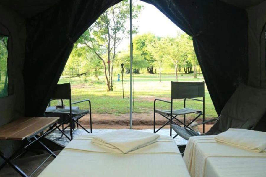 Big game camps Wilpattu national park Sri Lanka