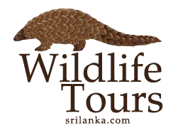 Wildlife Tours Sri Lanka Official Logo