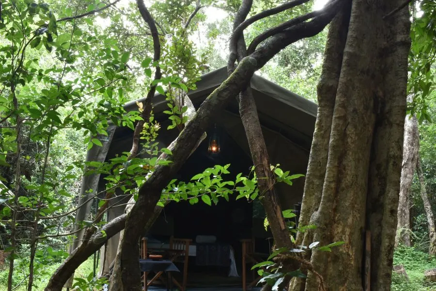 Explorer by mahoora camps in Sri Lanka