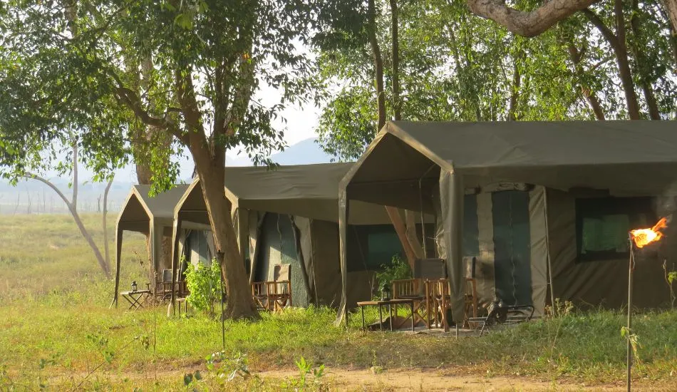 EXplorer by Mahoora camps at Gal oy national park in Sri Lanka 