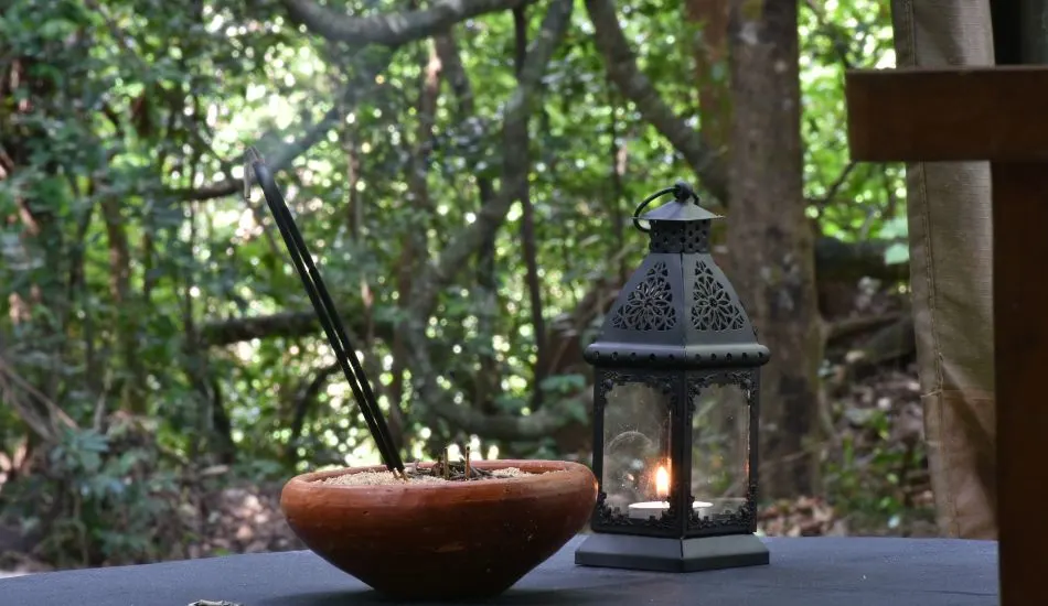 Living experience at Wasgamuwa national park in Sri Lanka