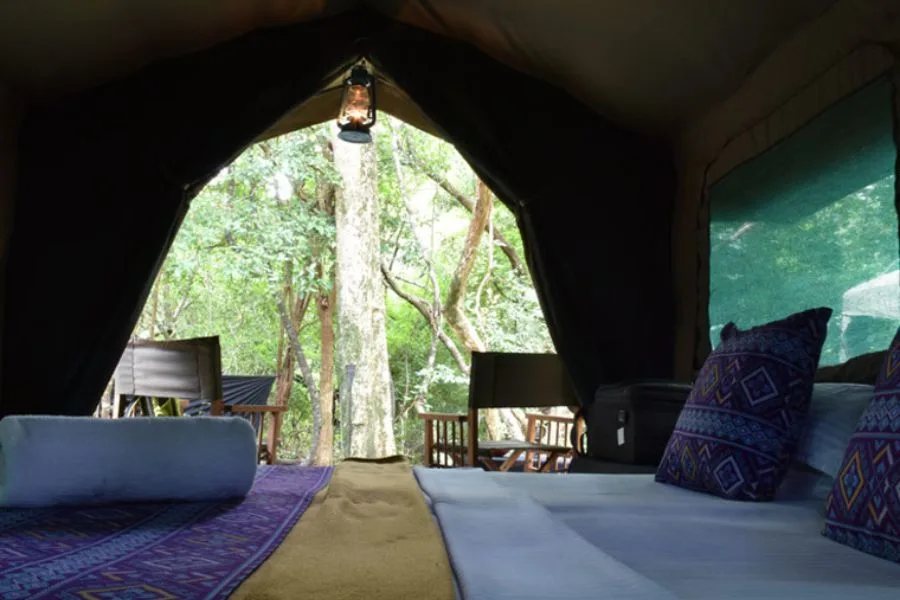 Explorer by Mahoora camps at Wasgamuwa national park in Sri Lanka