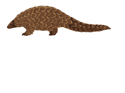 Wildlife Tours Sri Lanka