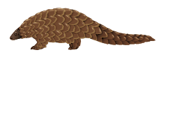 Wildlife Tours Sri Lanka