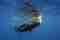 big-5-in-7-days-fixed-departure-1-2