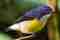 burdung-holiday-package-sri-lanka