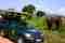 Elephant safaris at Udawalawe national park in Sri Lanka 