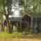 Gal oya accommodation