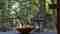 Living experience at Wasgamuwa national park in Sri Lanka 