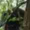 Wasgamuwa national park accommodation